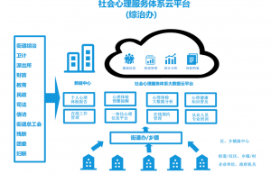 社会心理健康服务云平台建设和解决方案